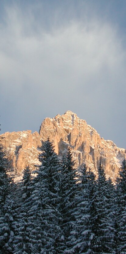 inverno neve foresta montagna | © Ph. Obereggen AG
